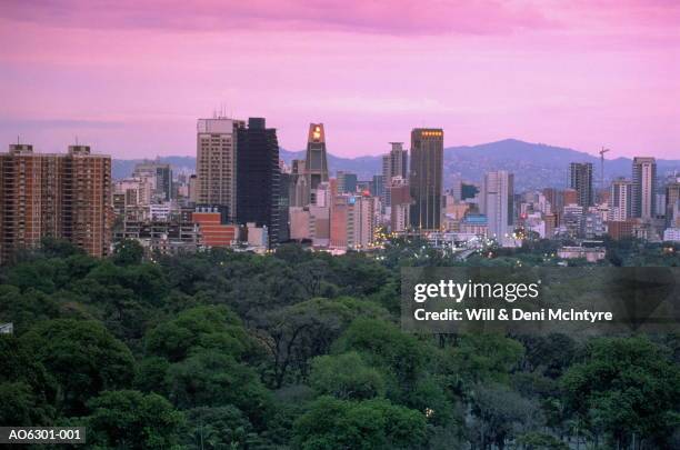 venezuela, caracas, city skyline at dusk - caracas venezuela fotografías e imágenes de stock