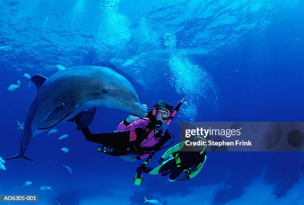 divers swimming with atlantic bottlenose dolphin, bahamas - swimming with dolphins stock pictures, royalty-free photos & images