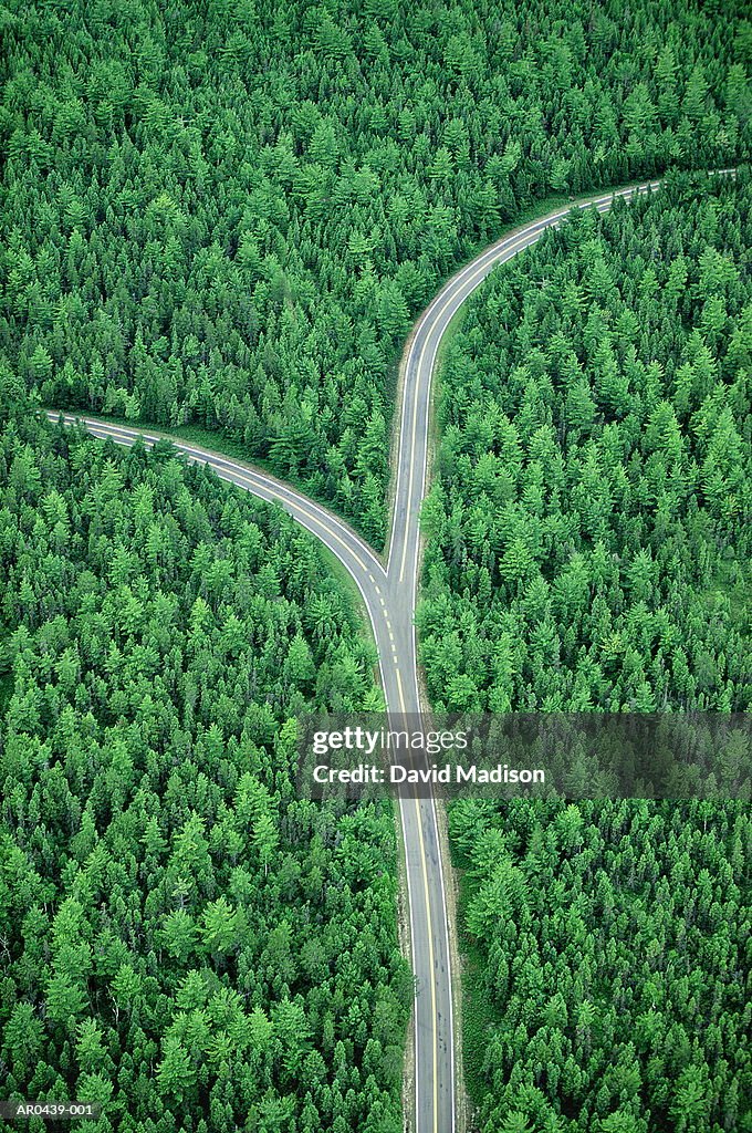 Fork in road through forest, aerial (Digital Composite)
