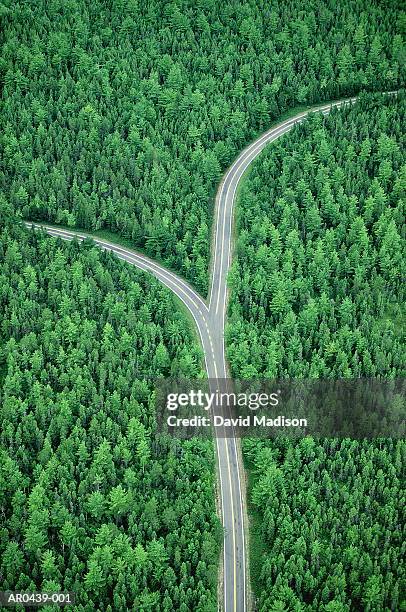 fork in road through forest, aerial (digital composite) - calle bifurcada fotografías e imágenes de stock