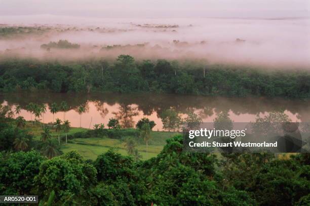 morning fog, karawari river, papua new guinea - papua new guinea foto e immagini stock