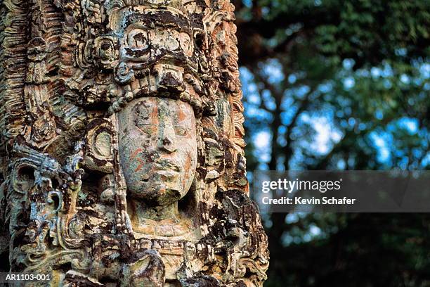 honduras, copan (mayan ruins), main plaza, carving of 18 rabbit - maya stock-fotos und bilder