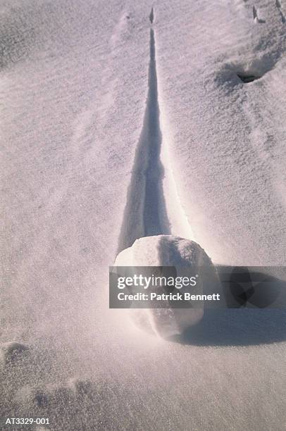 snowball creating trail in snow, close-up - rollup photos et images de collection