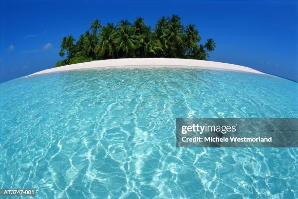 maldives, uninhabited tropical island (wide angle) - desert island stock pictures, royalty-free photos & images