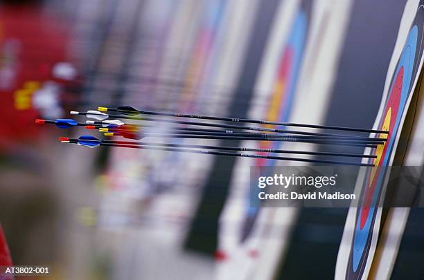 Row Target 747 Row Of Shooting Targets Stock Photos, High-Res Pictures, and Images ...