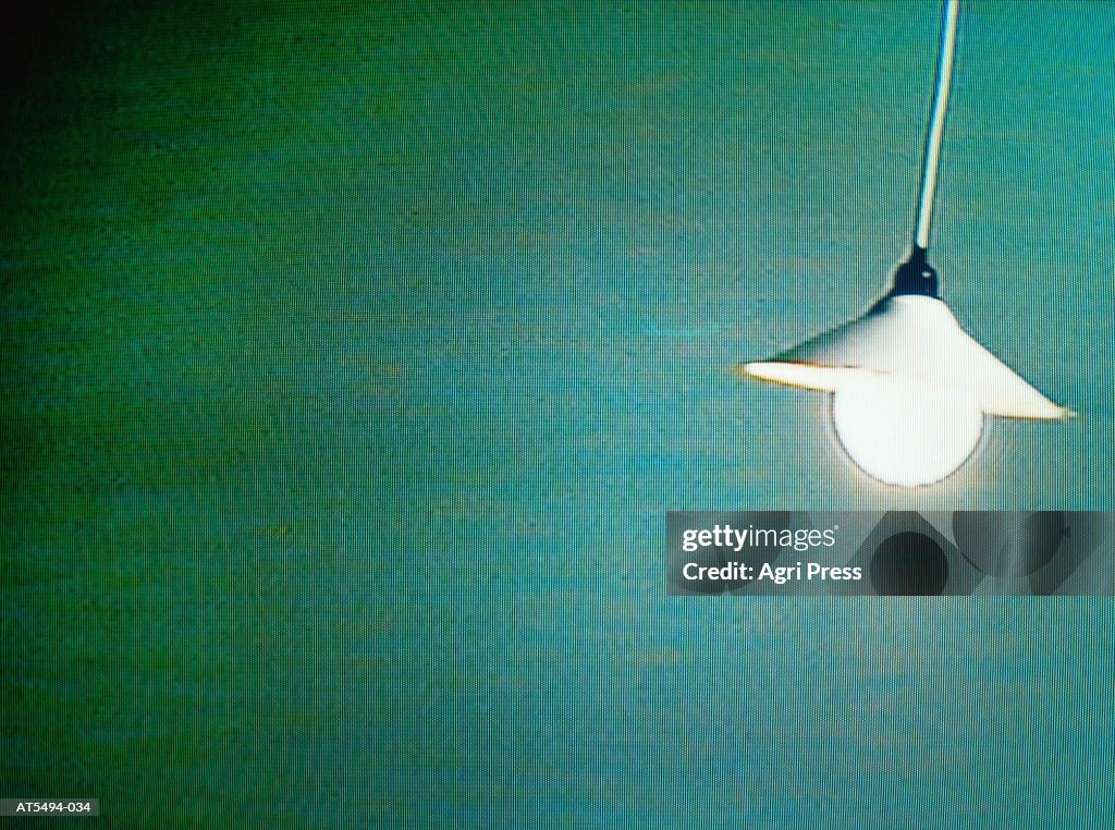 Lamp with exposed light bulb, green background (video still)
