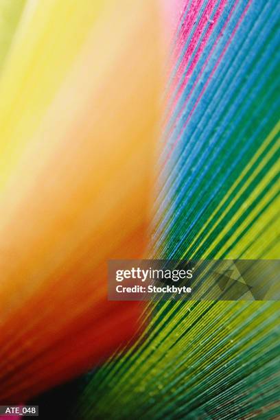 Linear Light Random Pattern 2,081 Linear Lighting Effects Stock Photos, High-Res Pictures, and ...