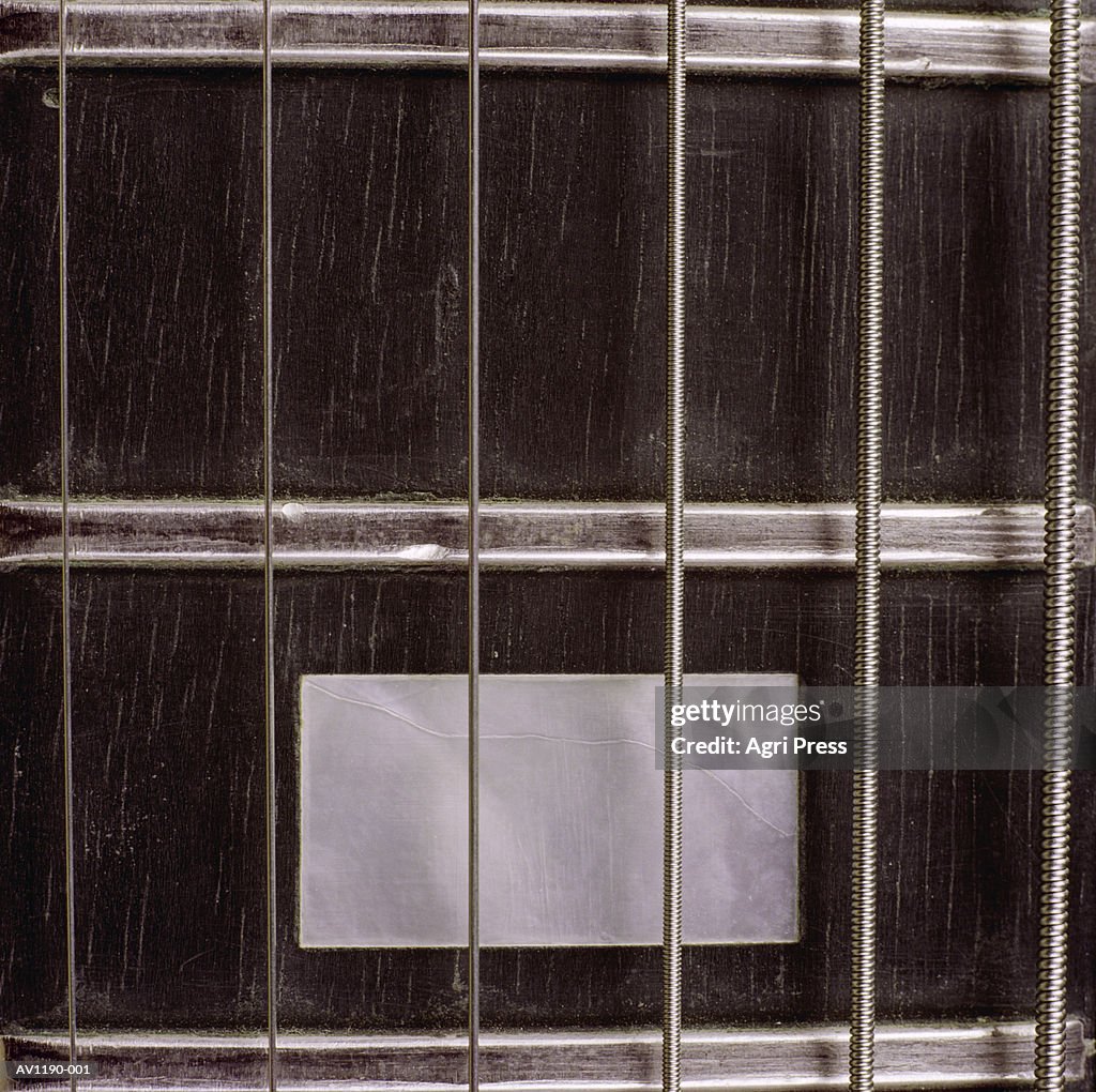 Strings on guitar, close-up