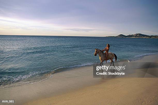 distant shot of woman riding horse on beach - distant imagens e fotografias de stock