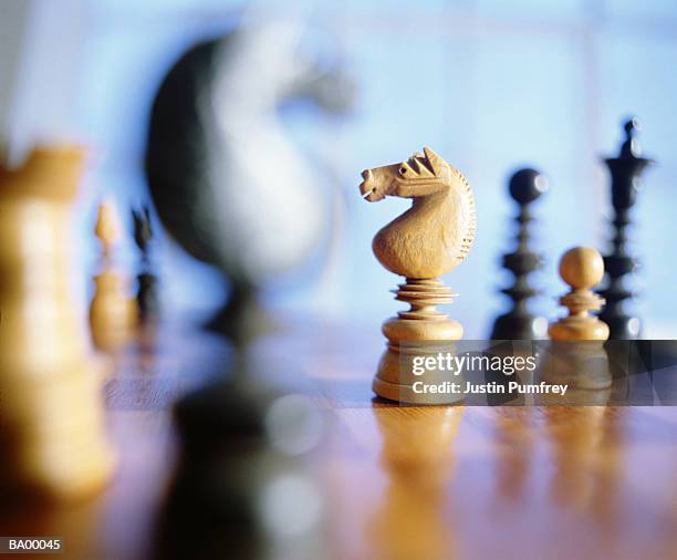 chess pieces on board, focus on white knight, close-up - ajedrez fotografías e imágenes de stock