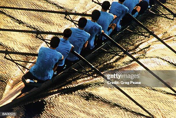 eight man crew practicing, dawn, elevated view - remo de punta fotografías e imágenes de stock