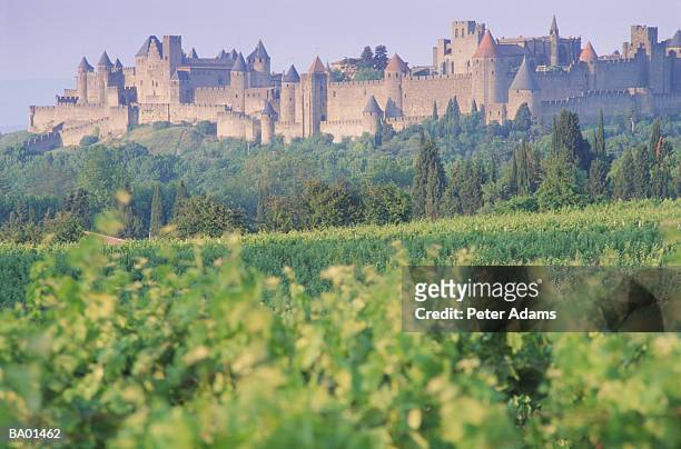 europe, france, carcassone overlooking vineyards - aude stock pictures, royalty-free photos & images