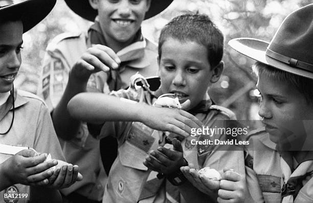 group of cub scouts playing with field mice, outdoors (b&w) - boy scouts of america 個照片及圖片檔