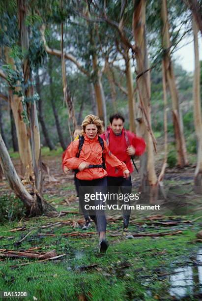 man and woman running through forest - kagoul stock pictures, royalty-free photos & images