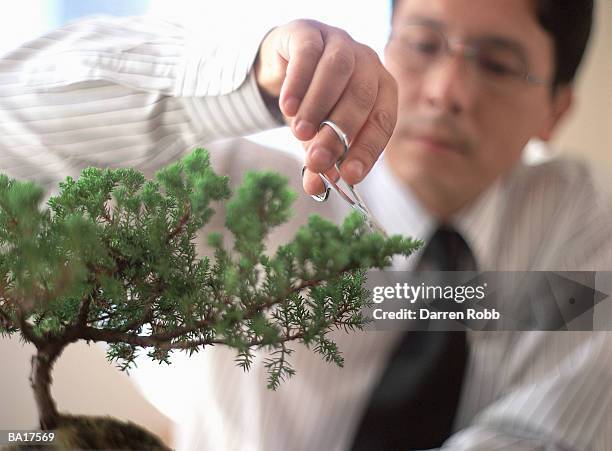 businessman pruning bonsai tree, focus on tree in foreground - obsessive stock pictures, royalty-free photos & images