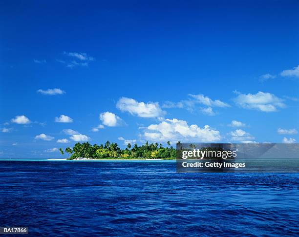 maldives, gulhi tropical island - view into land fotografías e imágenes de stock