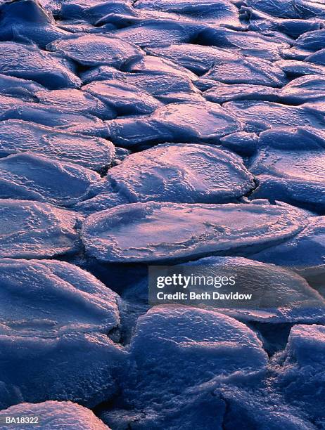 usa, alaska, kachemak bay, pancake plates of ice along shore, detail - g2 stock pictures, royalty-free photos & images