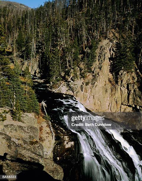 usa, wyoming, yellowstone national park, gibbon falls - g2 stock pictures, royalty-free photos & images