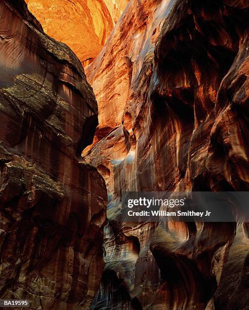 usa, utah, vermillion cliffs national park, view  inside a slot canyon - vermilion cliffs imagens e fotografias de stock