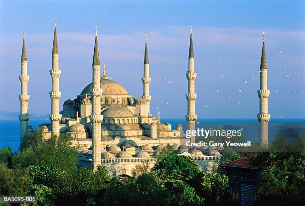 turkey, istanbul, blue mosque and bosphorous, elevated view - moschea blu istanbul foto e immagini stock