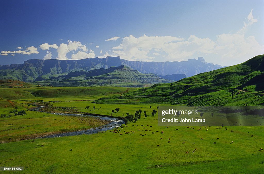 South Africa,Natal,Drakensberg,the Tugela River,with The Amphitheatre