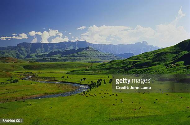 south africa,natal,drakensberg,the tugela river,with the amphitheatre - natal foto e immagini stock
