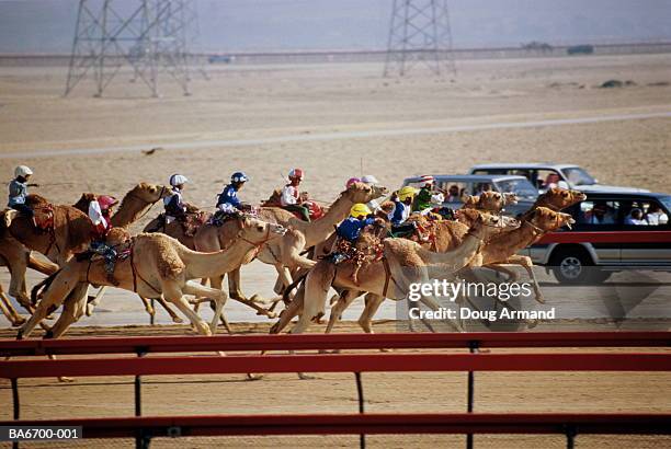 Arabic Racing 5,901 Dubai Racetrack Stock Photos, High-Res Pictures, and Images ...