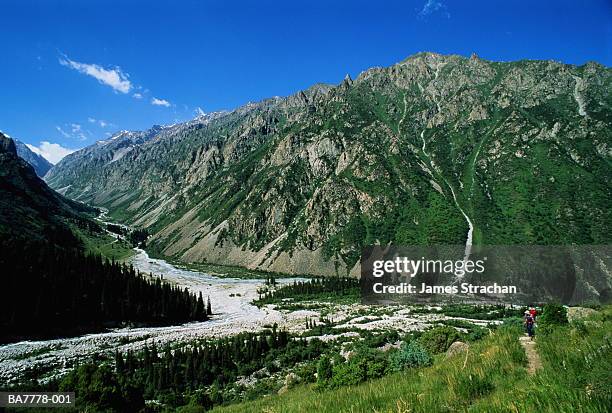 kyrgyzstan, tien shan mountains, ala-arche canyon - montañas de tien shan fotografías e imágenes de stock