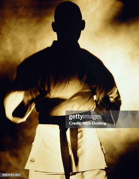 karate, man standing with face in shadow (toned b&w) - zwarte band stockfoto's en -beelden