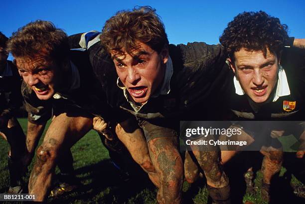 rugby union, players in scrum, close-up - rugby union scrum stock pictures, royalty-free photos & images