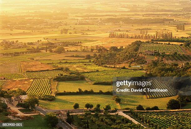 france, provence, vaucluse, luberon countryside, vineyards - vaucluse stock pictures, royalty-free photos & images