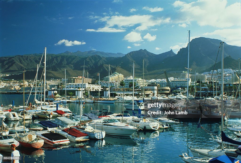 Spain, Canary Islands, Tenerife, Playa de las Americas, Puerto Colon