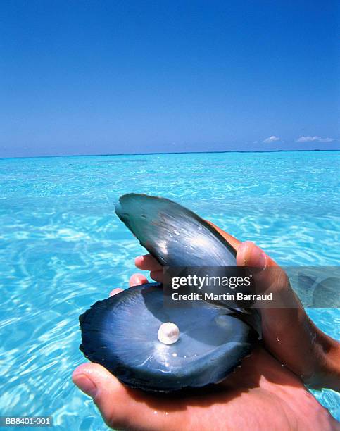 hands holding open oyster shell containg pearl, sea in background - oyster pearl stock pictures, royalty-free photos & images