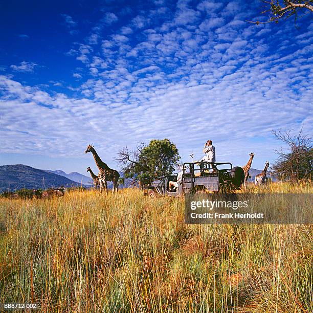 couple on safari in four wheel drive vehicle, south africa - south africa stock pictures, royalty-free photos & images