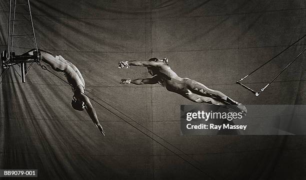two circus trapeze artists in action (toned b&w) - reliable bildbanksfoton och bilder