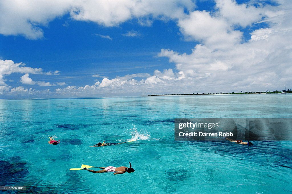 Group snorkelling in shallow water, Maldives
