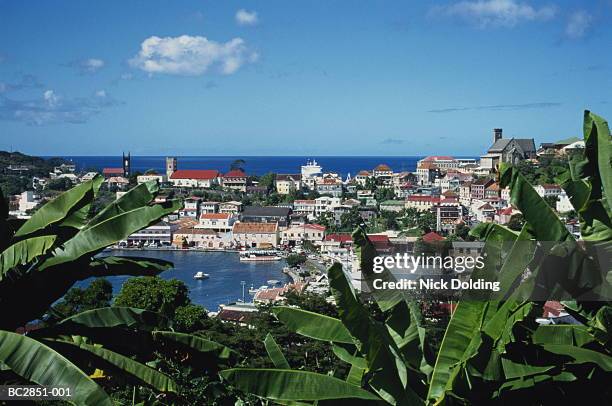 grenada, st george's, town and harbour (carenage), elevated view - st georges grenada stock pictures, royalty-free photos & images