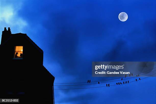 man using computer at home,birds on telephone lines,dusk (composite) - working late foto e immagini stock