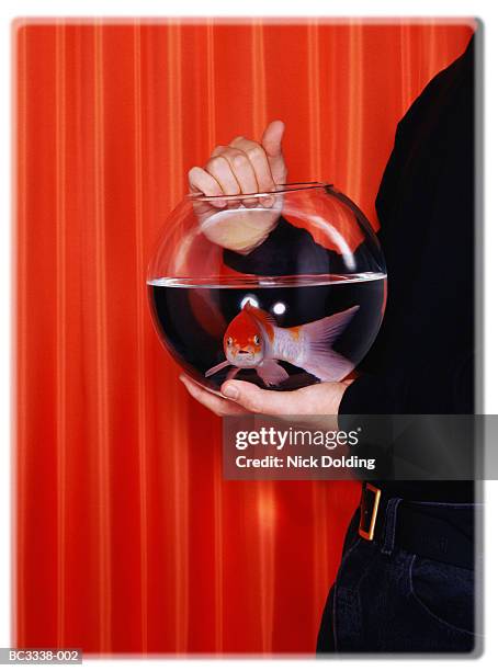 man holding goldfish bowl, red background - holding fishbowl stock pictures, royalty-free photos & images