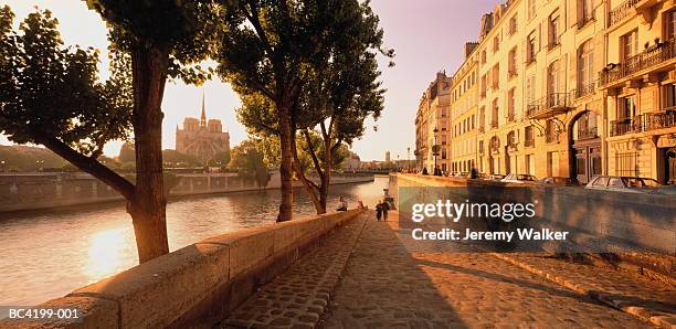 france, ile de france, paris, ile de la cite, notre-dame, morning - río sena fotografías e imágenes de stock