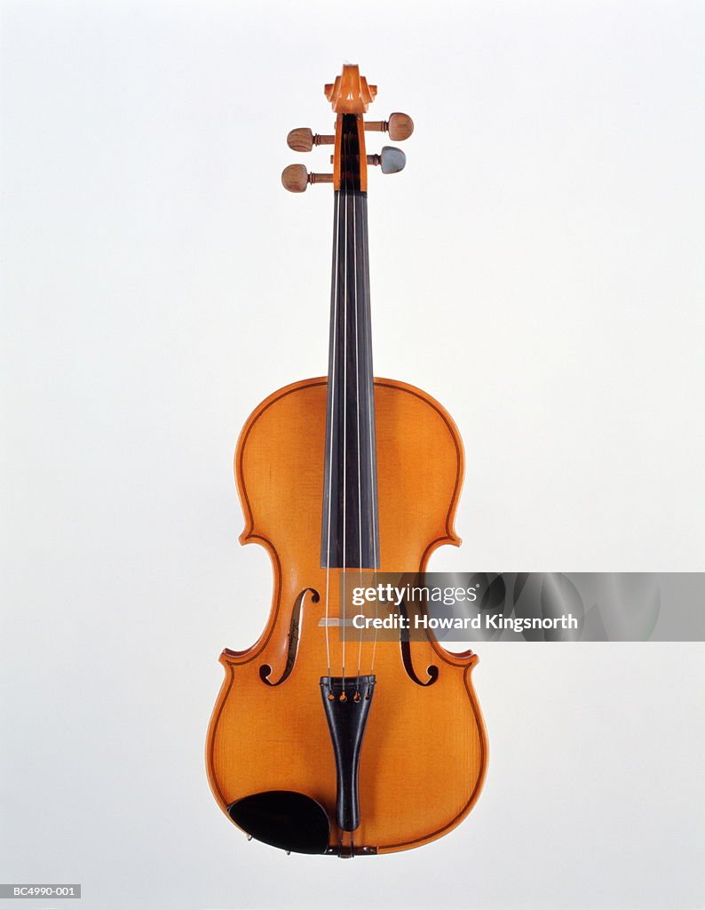 Violin