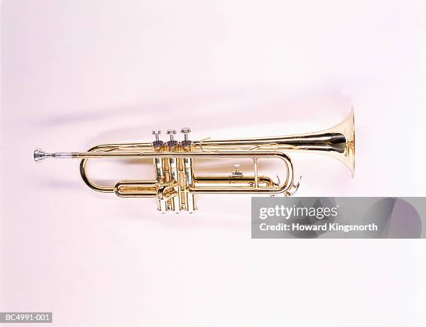 trumpet - trumpet fotografías e imágenes de stock