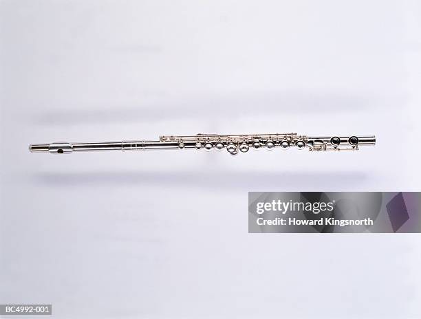 flute - flautist stock pictures, royalty-free photos & images