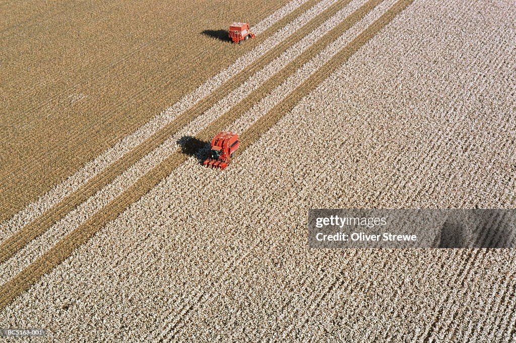 Cotton harvest, aerial view, New South Wales, Australia