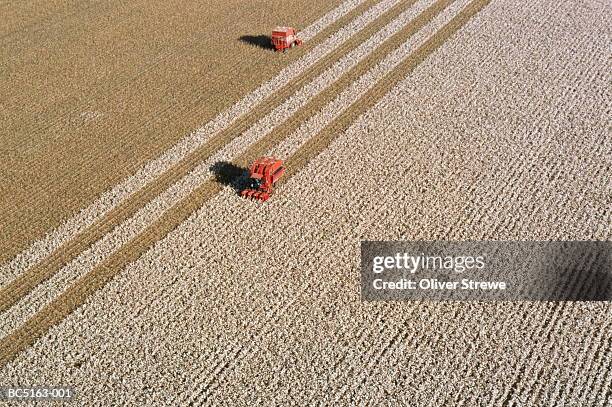 cotton harvest, aerial view, new south wales, australia - cotton - fotografias e filmes do acervo