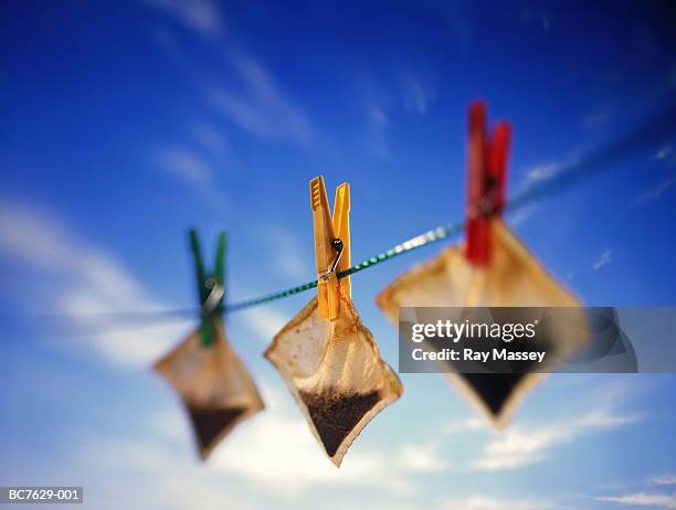 three tea bags pegged on washing line (focus on yellow peg) - gierig stockfoto's en -beelden