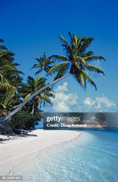 ocean liner off shores of tropical island, cook islands (composite) - cruise view stock pictures, royalty-free photos & images