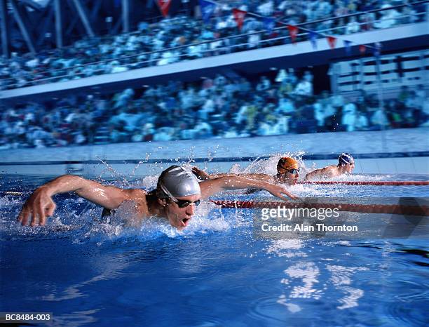 swimmers doing butterfly stroke in marked race lanes (composite) - natación fotografías e imágenes de stock