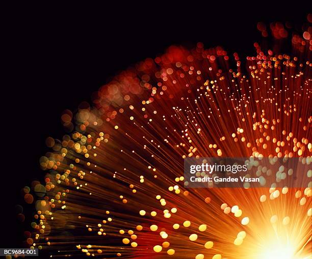 fibre optic bundle, close-up - glasfaserkabel stock-fotos und bilder