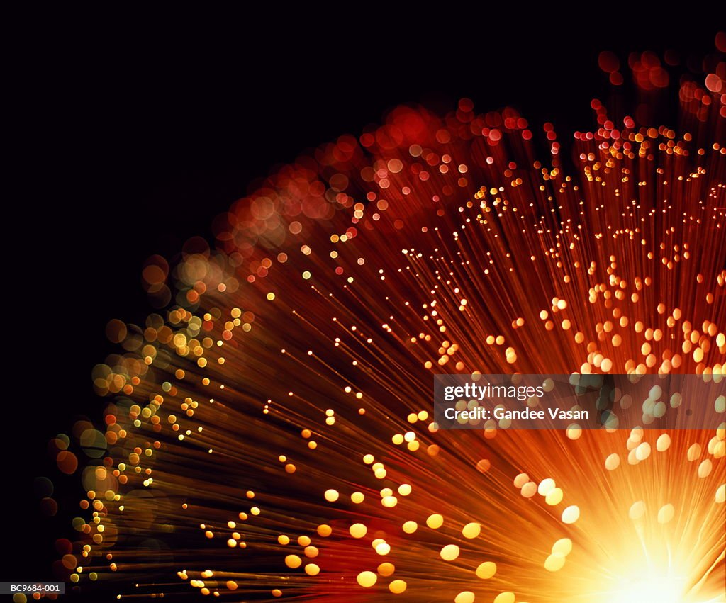 Fibre optic bundle, close-up